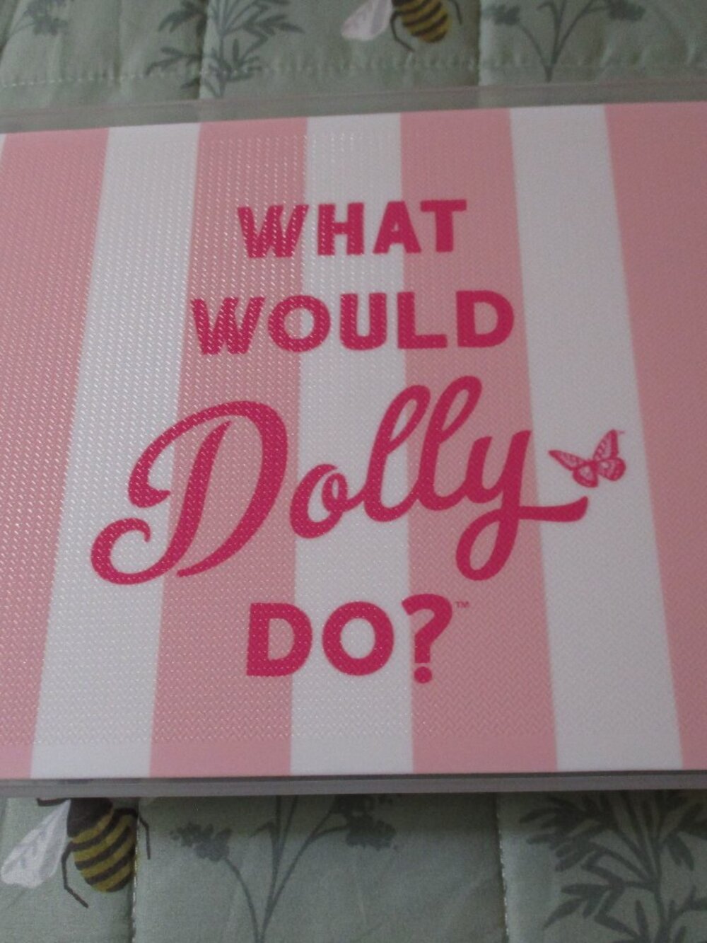 DG Dolly Parton What Would Dolly Do? Plastic Snack Box NEW